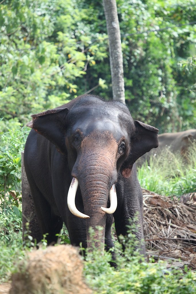 Sri Lanka (2013)