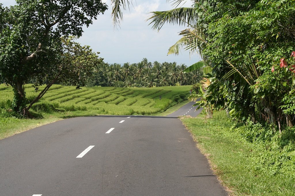 Bali (2009)