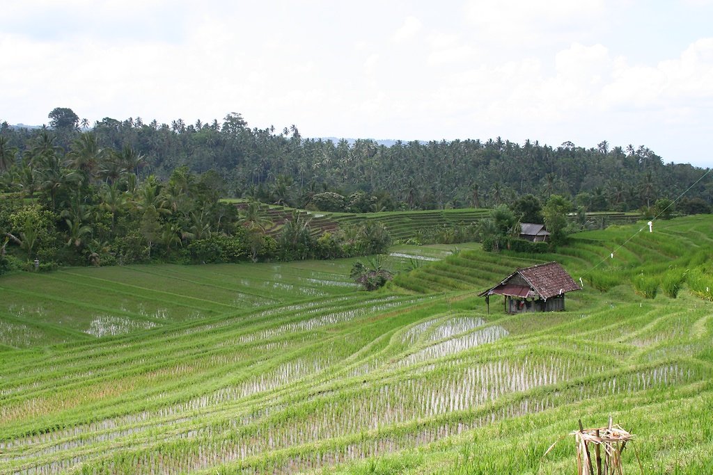 Bali (2009)