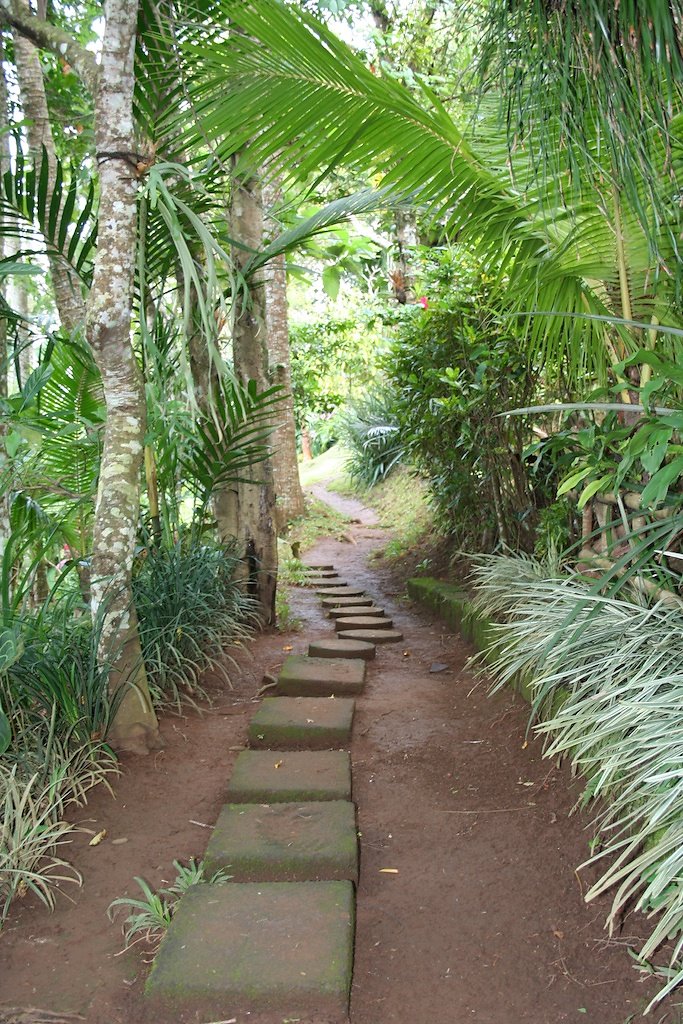 Bali (2009)