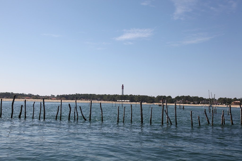IMG-1117.jpg