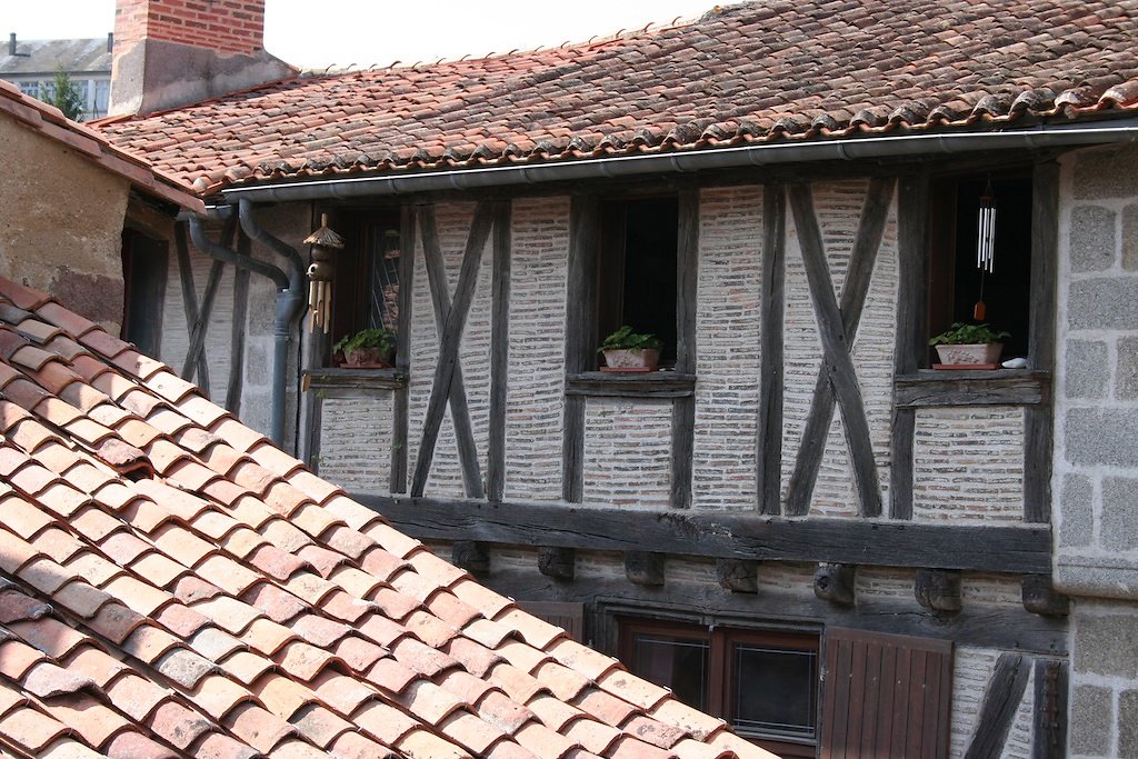 IMG-4135.jpg