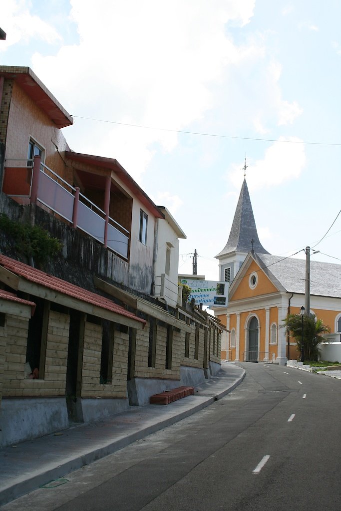 IMG-2377.jpg
