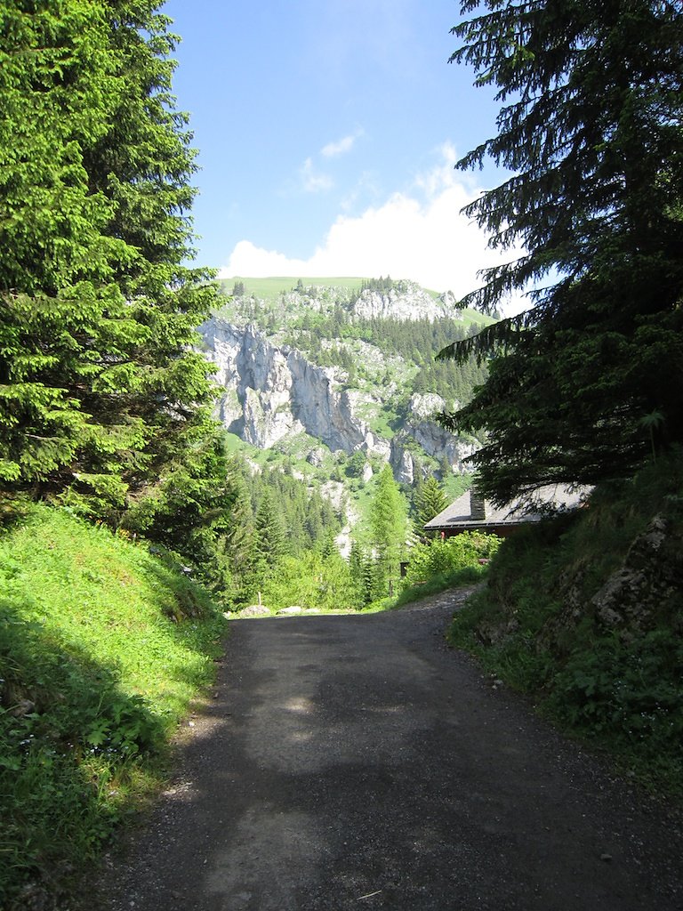 Lac de Taney