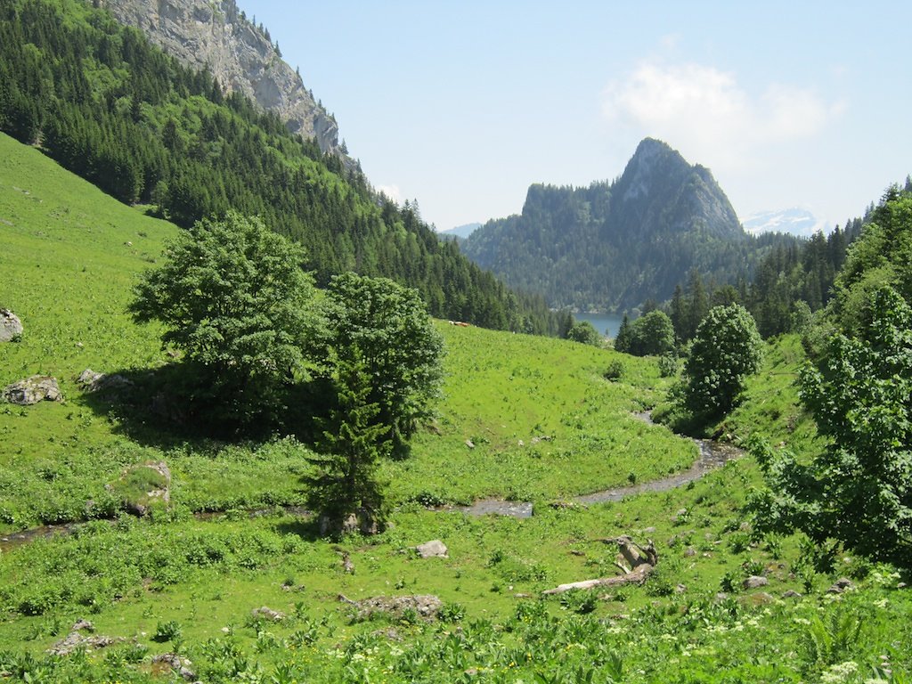 Lac de Taney