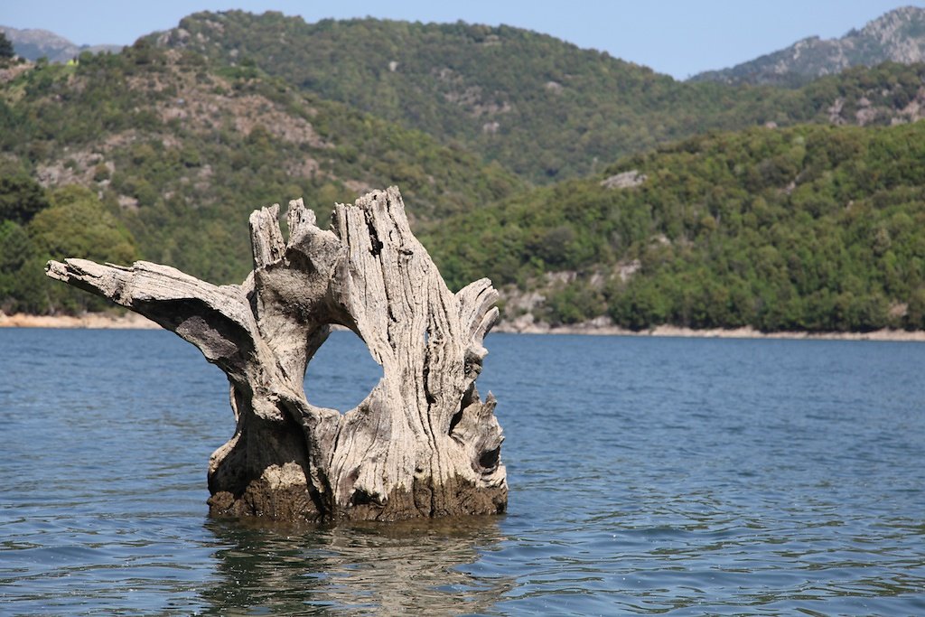Corse (2014)