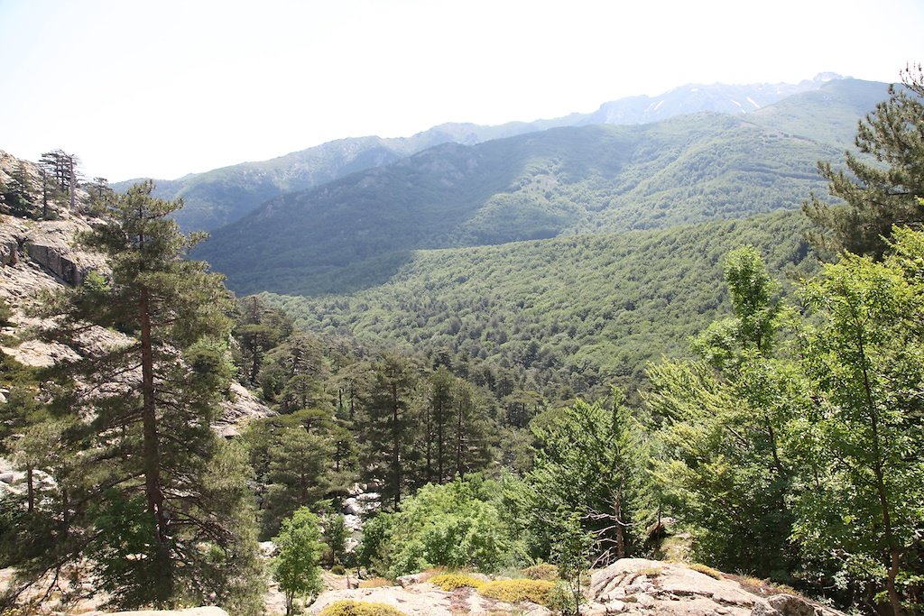 Corse (2014)