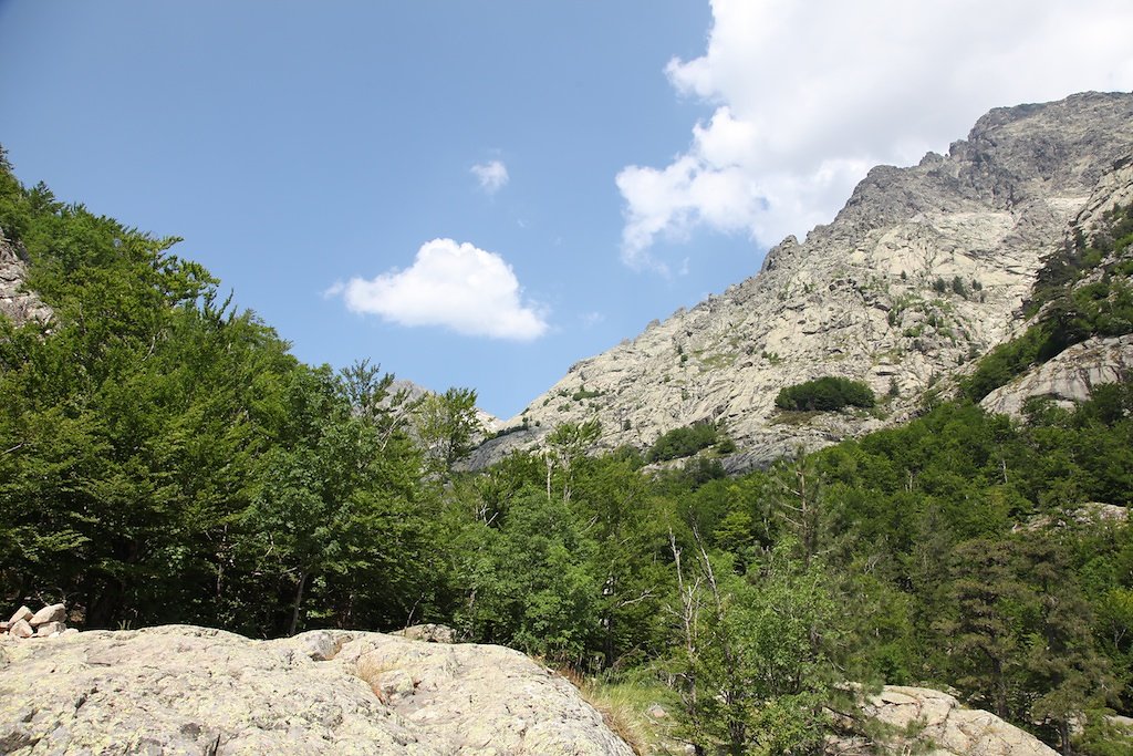 Corse (2014)
