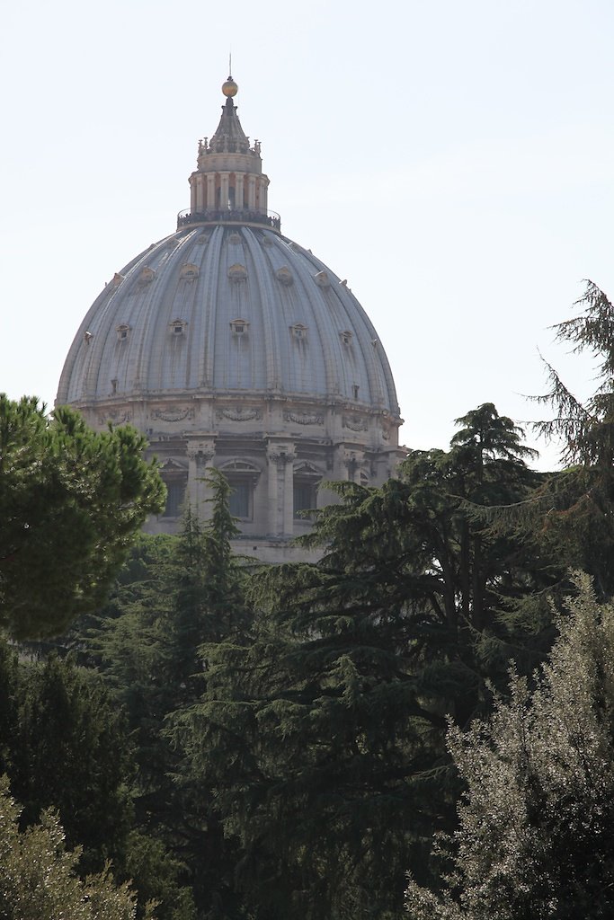 Rome (2014)