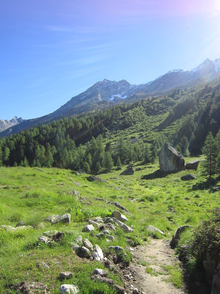 Cabane de la Tsa