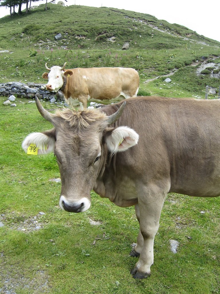 La Creusaz, Golettaz, Van d'en Haut