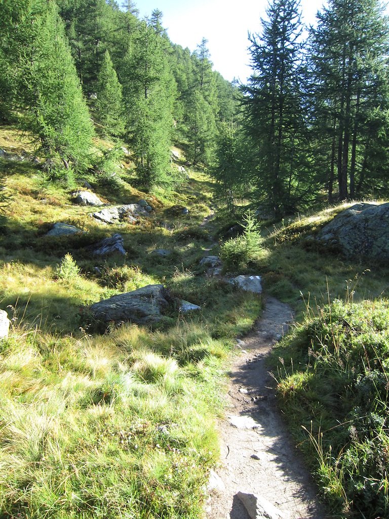 Cabane Anenhütte (06.09.2014)