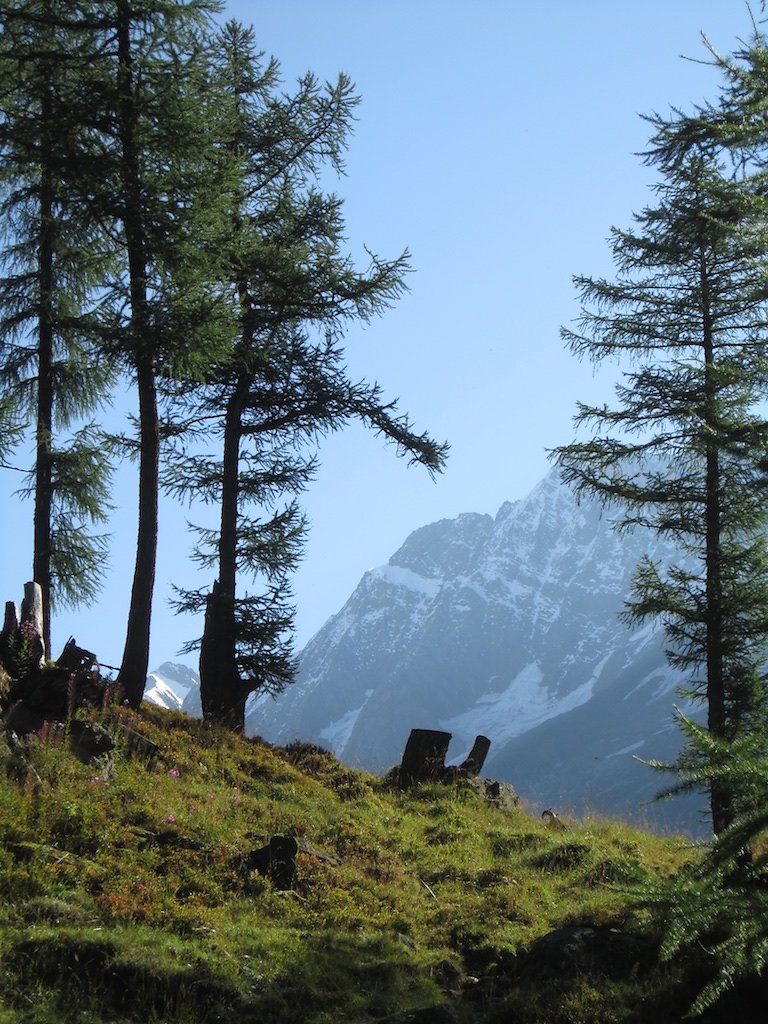 Cabane Anenhütte (06.09.2014)