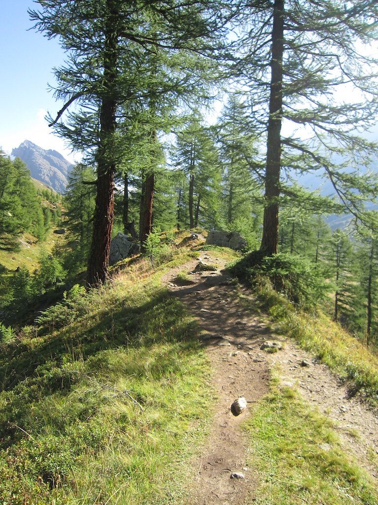 Cabane Anenhütte (06.09.2014)