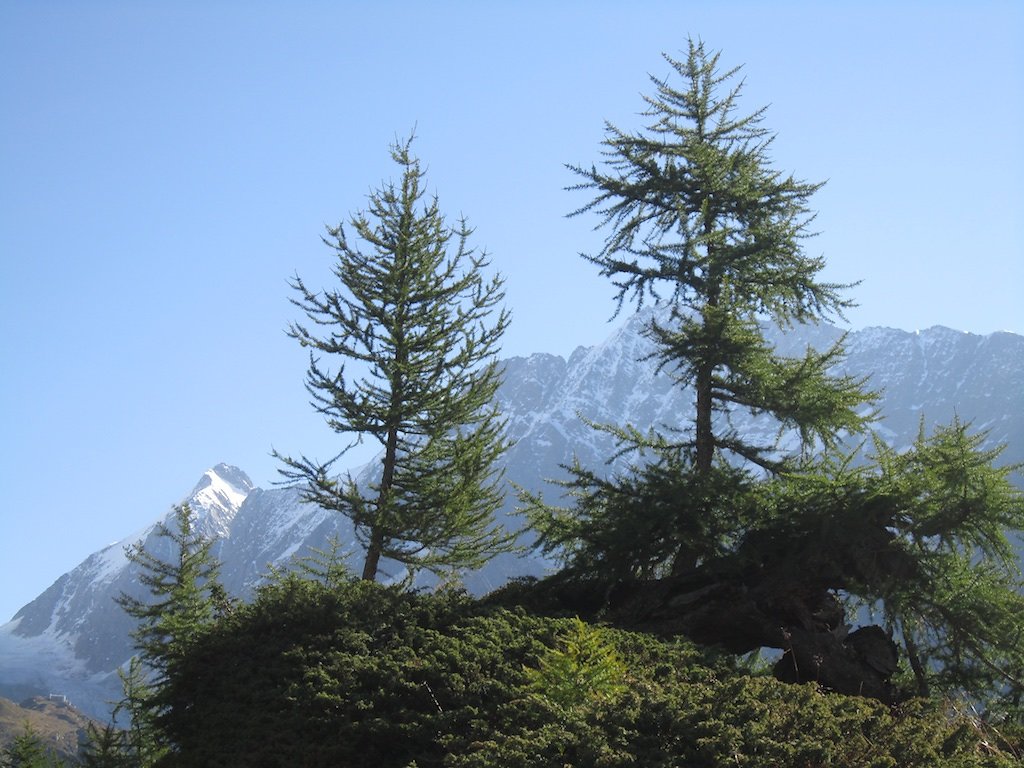 Cabane Anenhütte (06.09.2014)