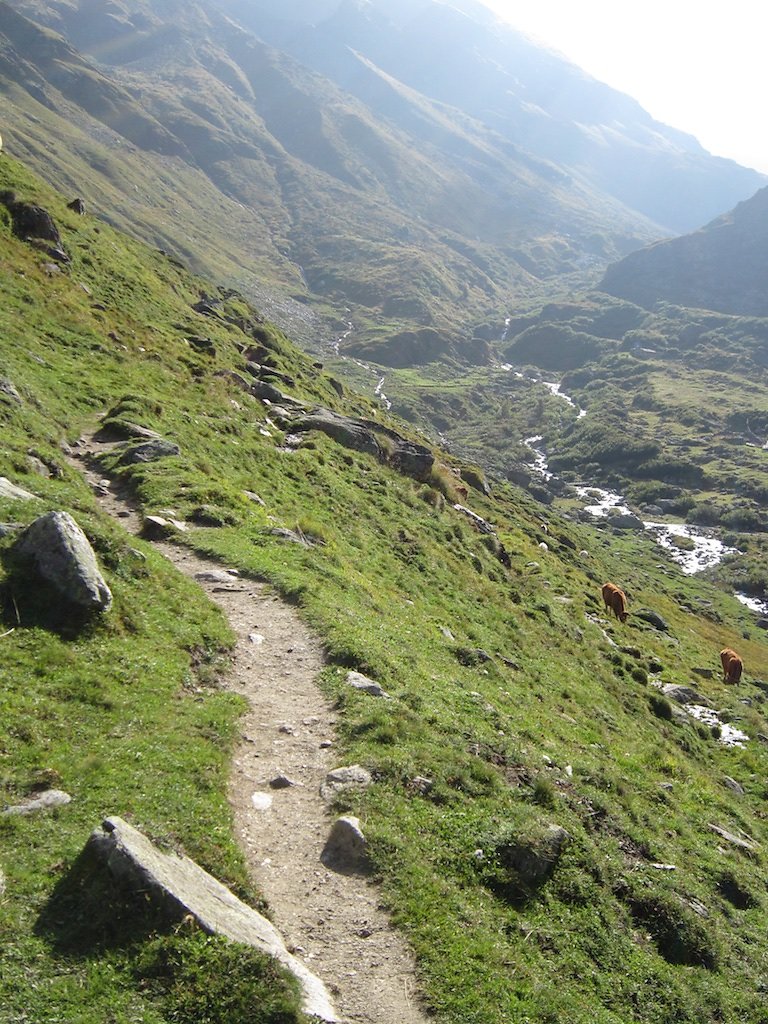 Cabanes Valsorey, Vélan