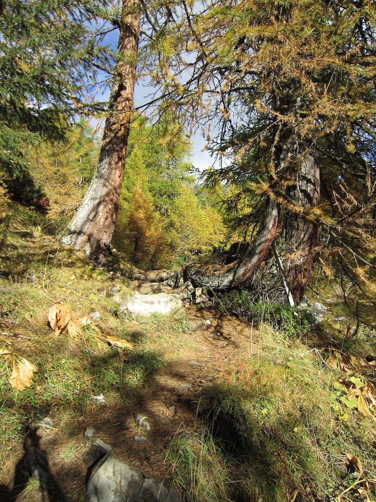 Cabane des Audannes