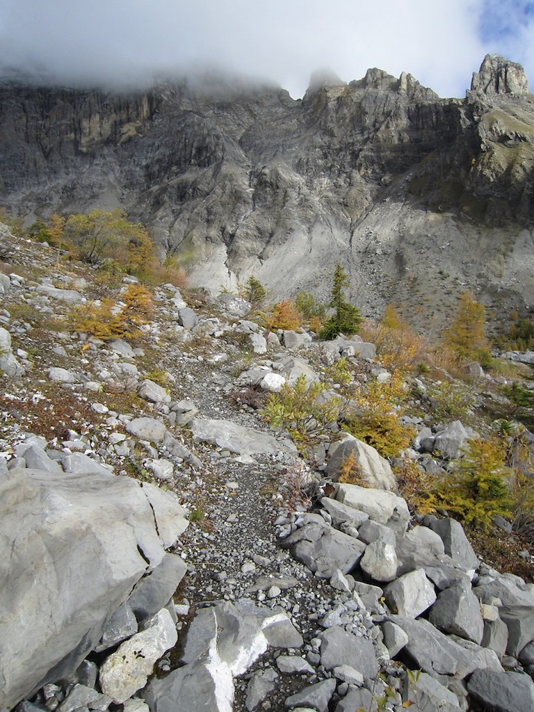 Cabane des Audannes