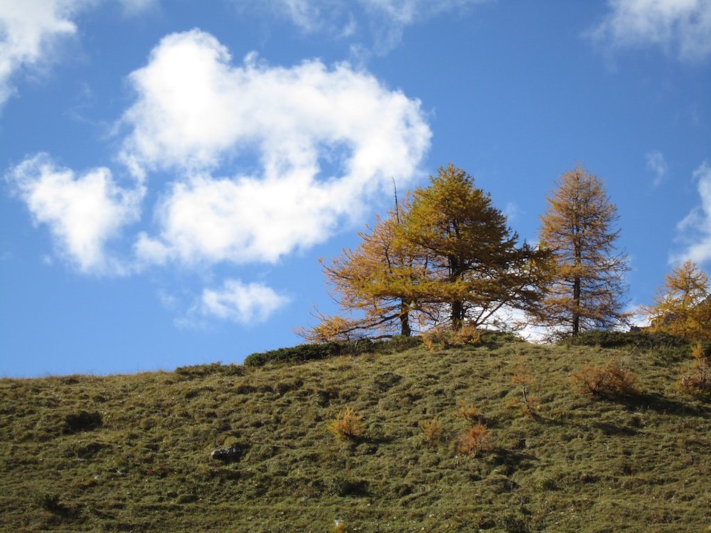 Cabane des Audannes