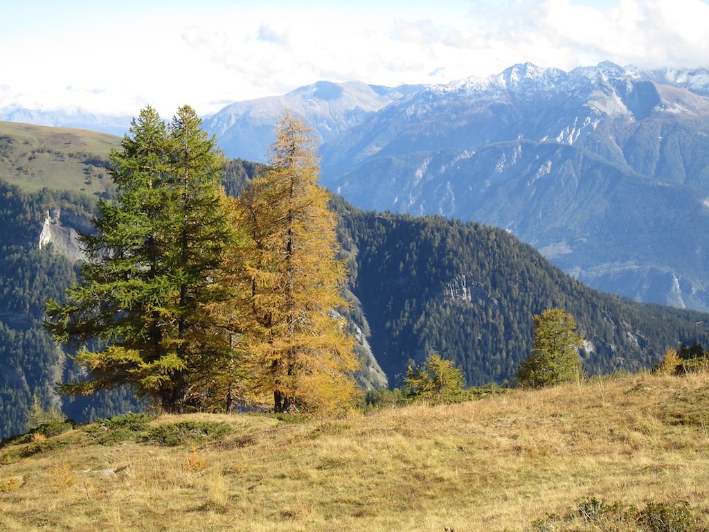 Cabane des Audannes