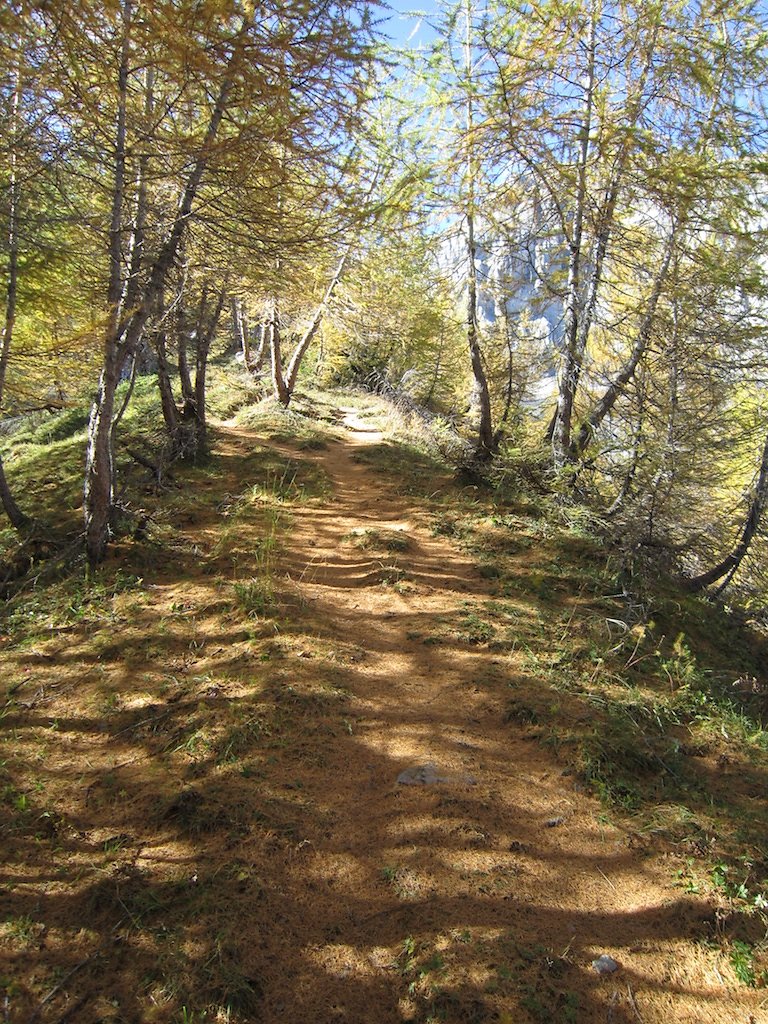 Cabane des Audannes