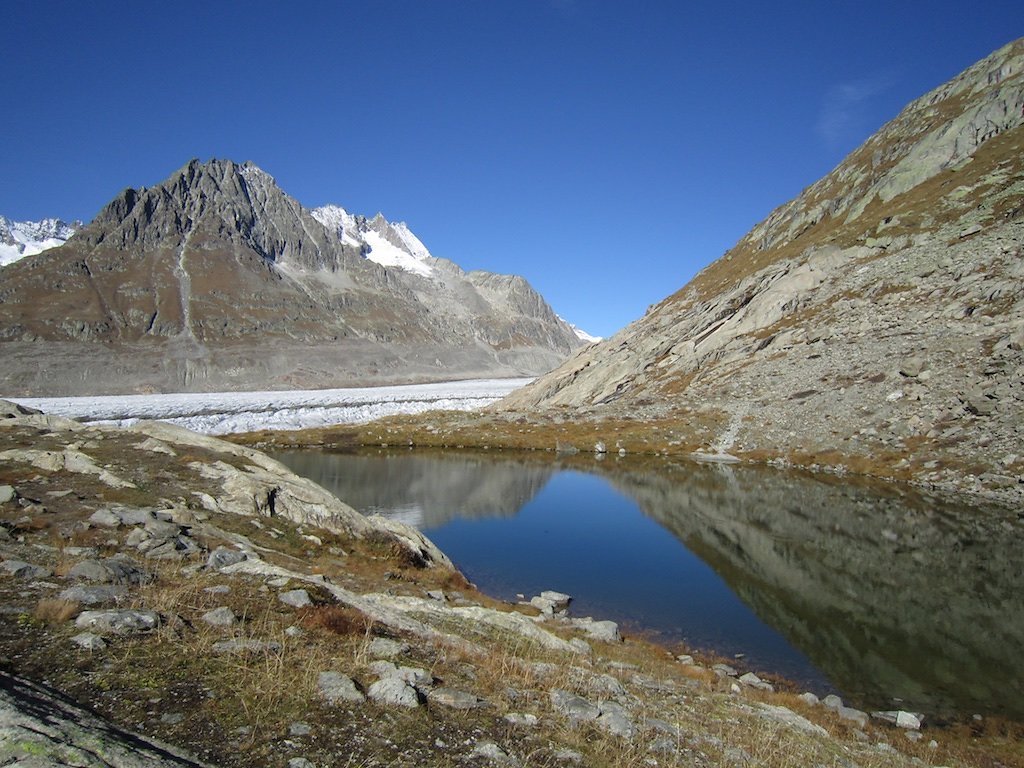 Aletsch, Eggishorn