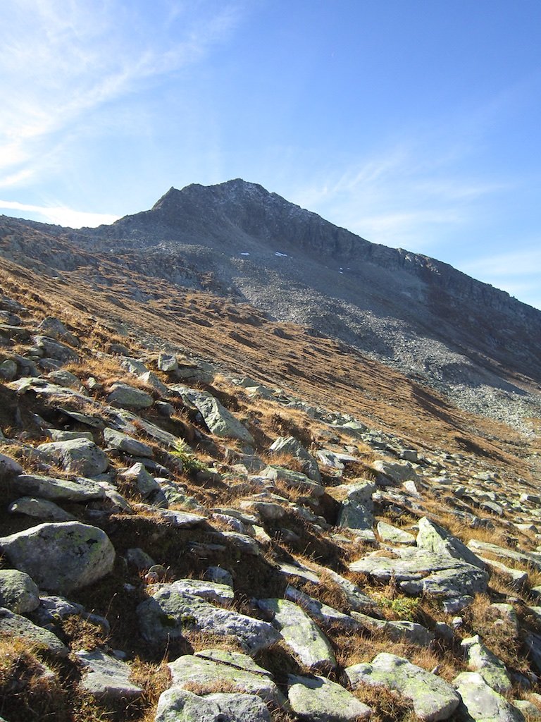 Aletsch, Eggishorn