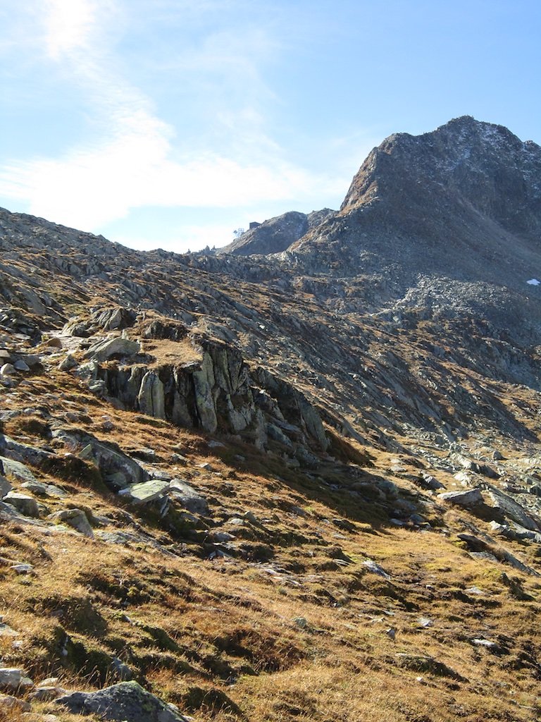 Aletsch, Eggishorn