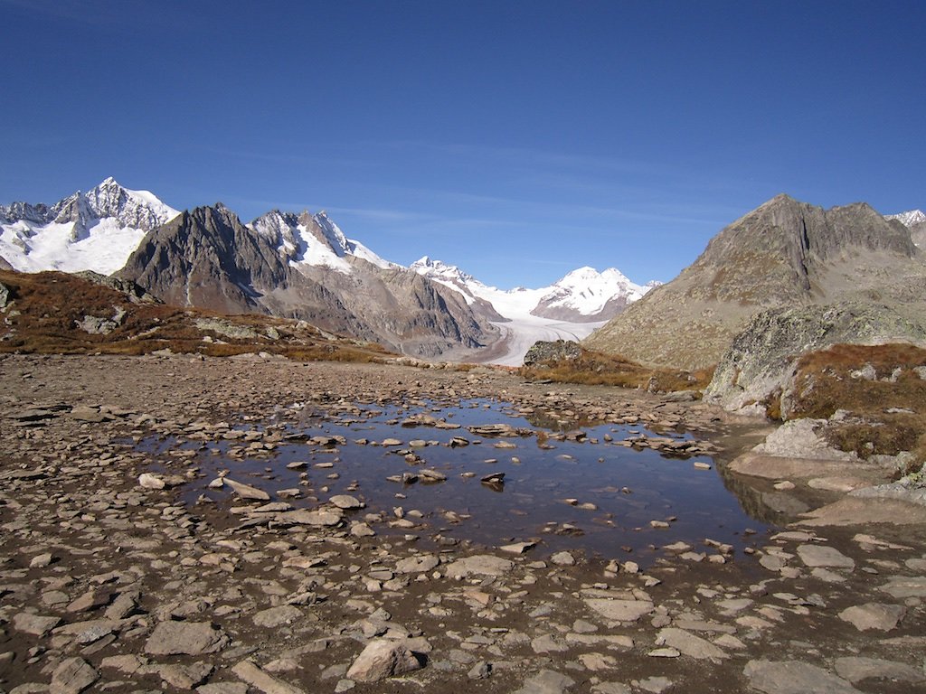 Aletsch, Eggishorn