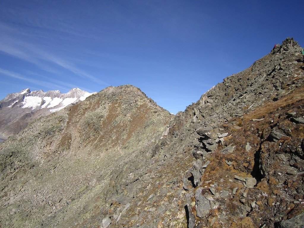 Aletsch, Eggishorn