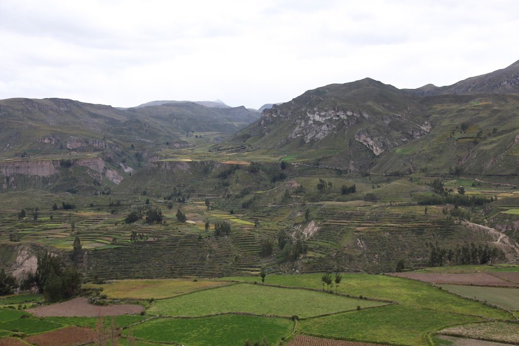 Vallée de Colca, Croix des Condors