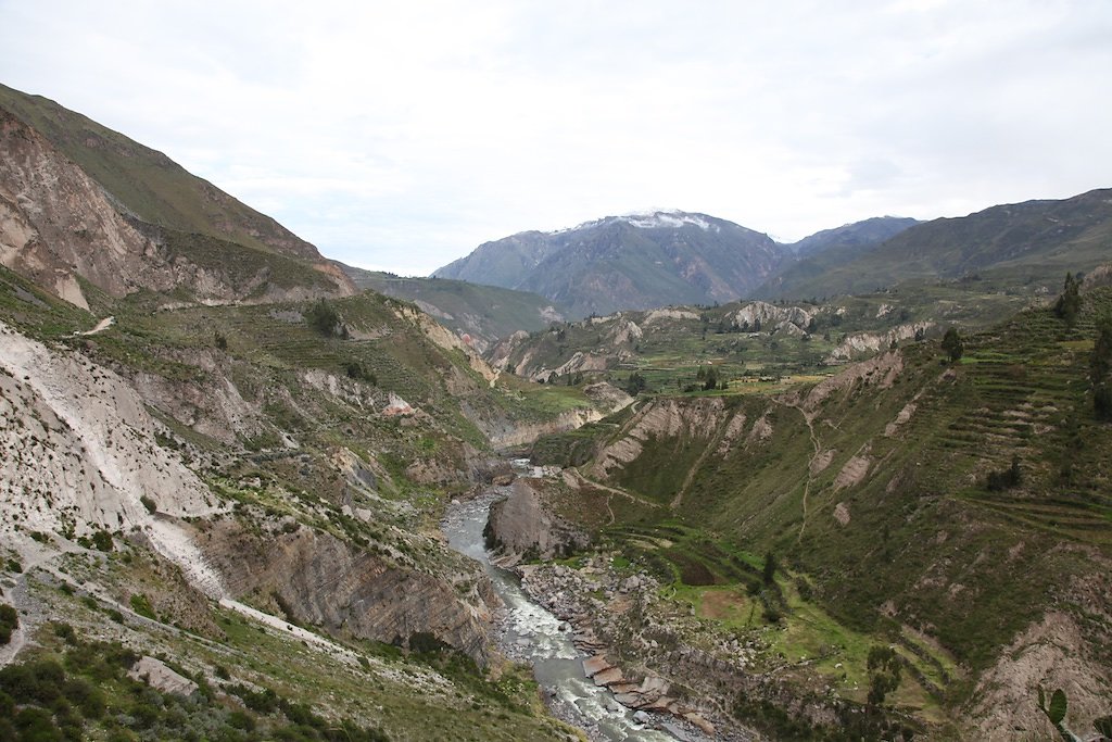 Vallée de Colca, Croix des Condors