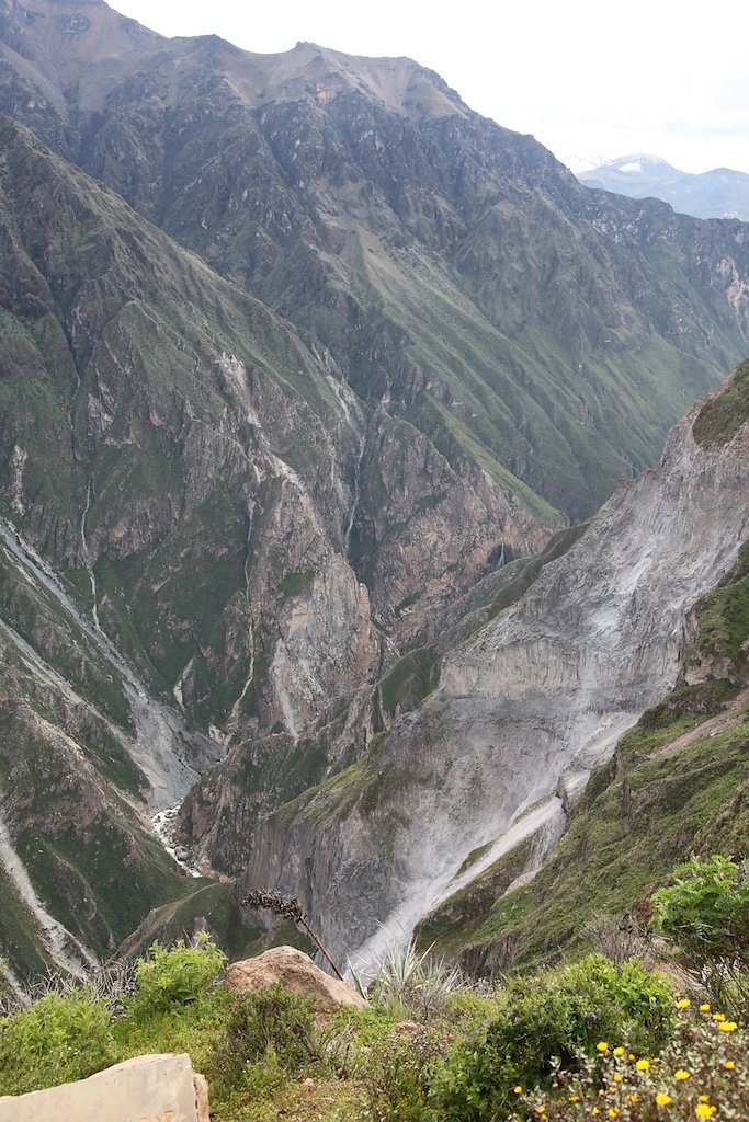 Vallée de Colca, Croix des Condors