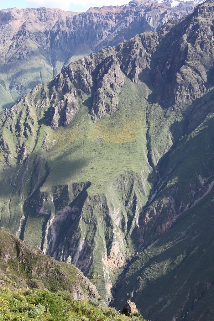 Vallée de Colca, Croix des Condors