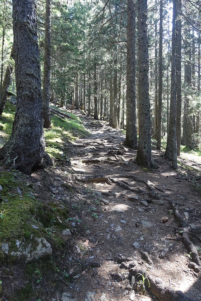 Col de la Forclaz, Mont de l'Arpille (04.06.2015)