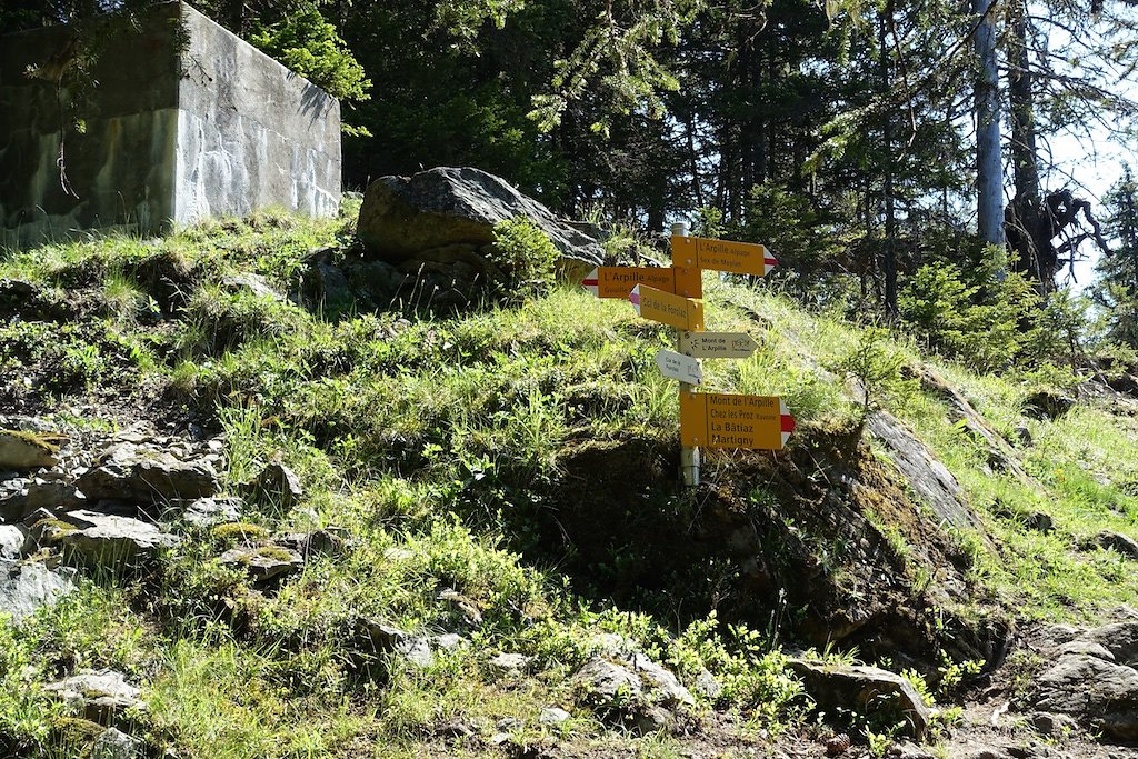 Col de la Forclaz, Mont de l'Arpille (04.06.2015)