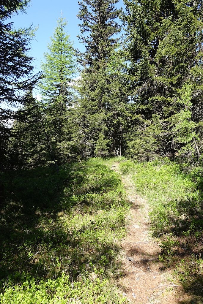 Col de la Forclaz, Mont de l'Arpille (04.06.2015)
