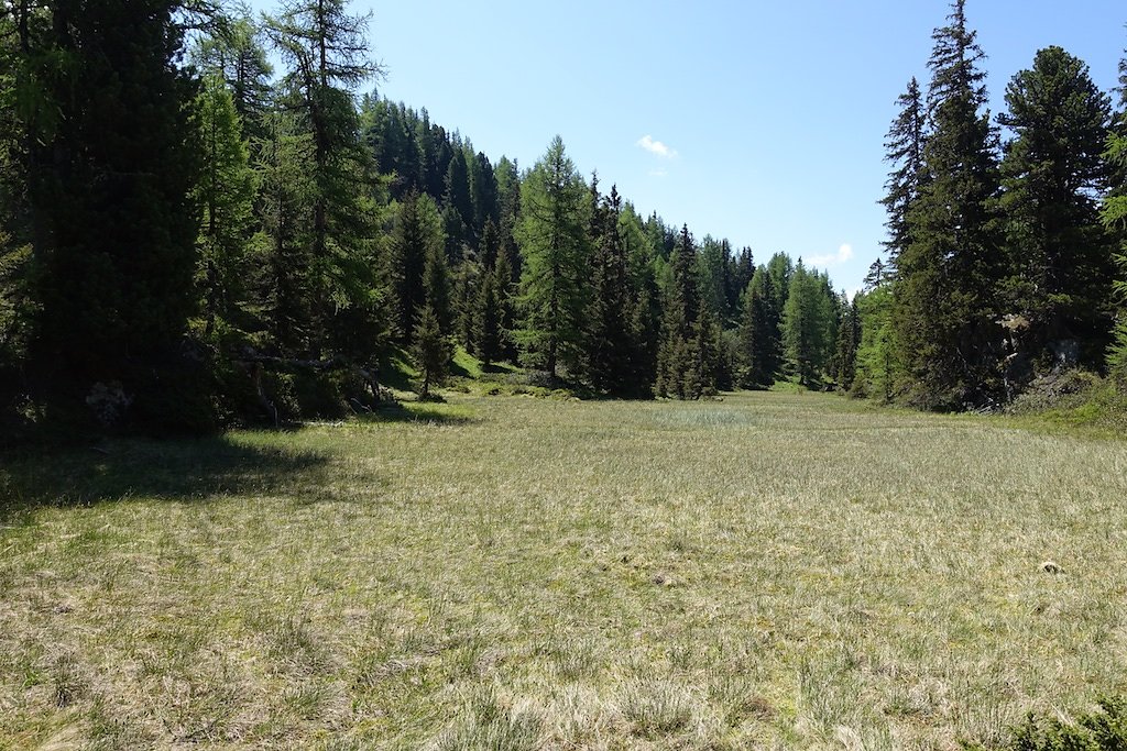 Col de la Forclaz, Mont de l'Arpille (04.06.2015)