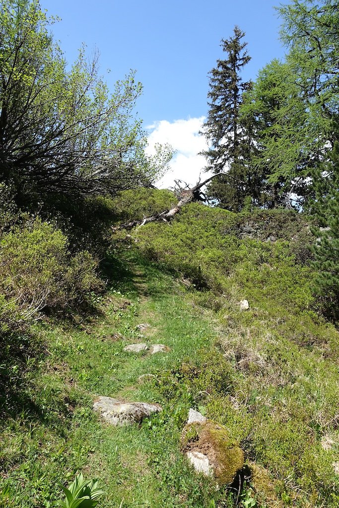 Col de la Forclaz, Mont de l'Arpille (04.06.2015)