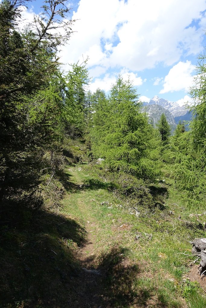 Col de la Forclaz, Mont de l'Arpille (04.06.2015)