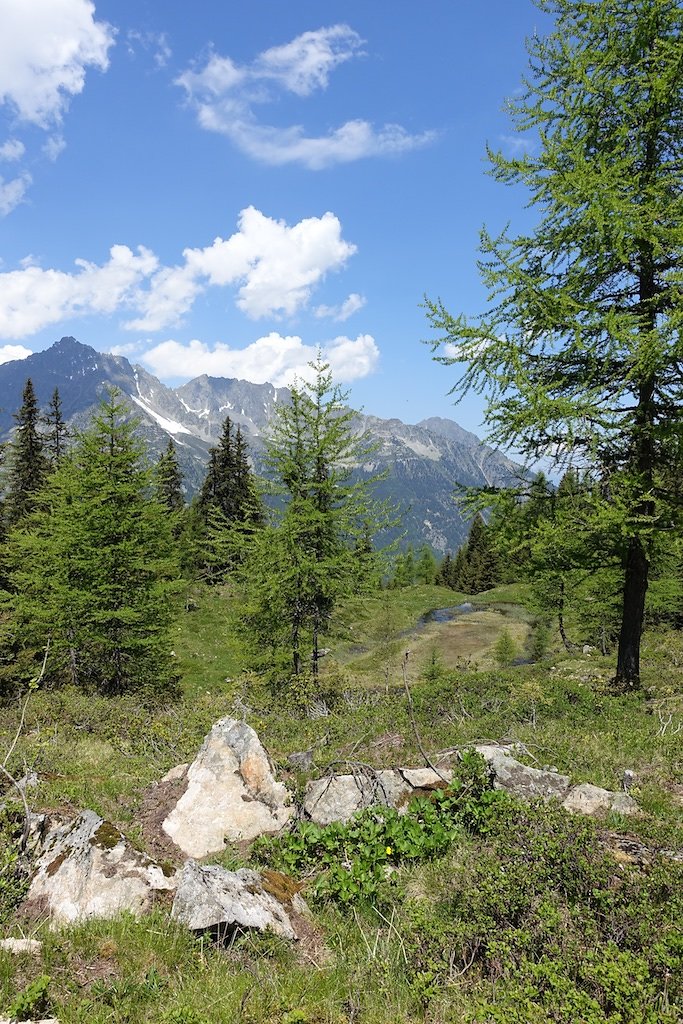 Col de la Forclaz, Mont de l'Arpille (04.06.2015)