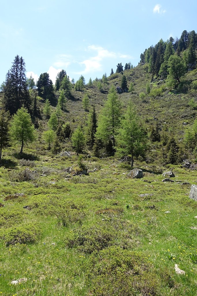 Col de la Forclaz, Mont de l'Arpille (04.06.2015)