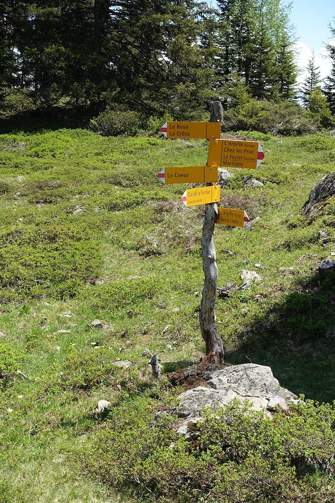 Col de la Forclaz, Mont de l'Arpille (04.06.2015)