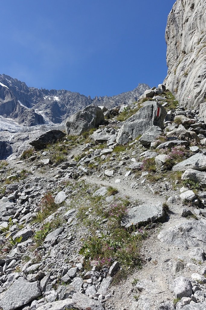 La Fouly, Cabane de l'A Neuve (26.08.2015)