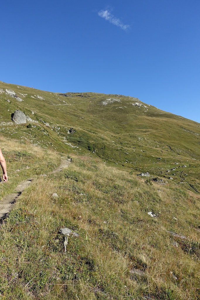 Arolla, Cabane des Aiguilles Rouges (29.08.2015)