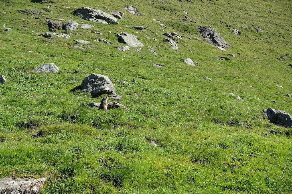 Cabane de Valsorey, Cabane du Vélan (08-09.09.2015)