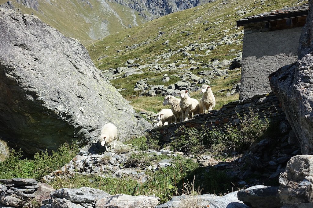 Cabane de Valsorey, Cabane du Vélan (08-09.09.2015)