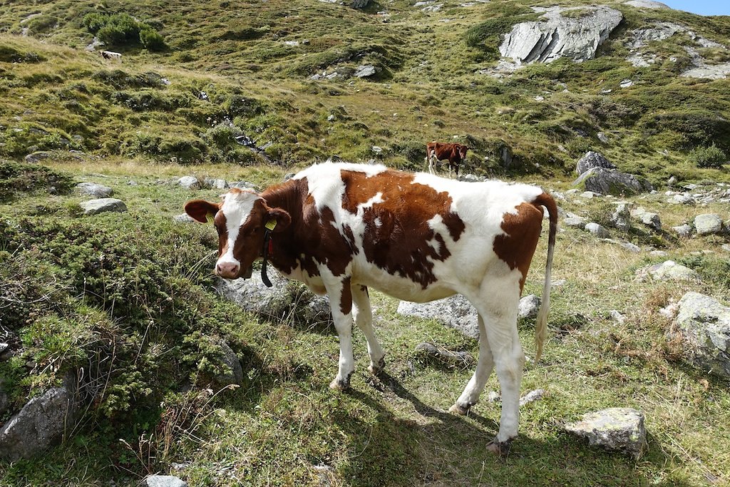 Cabane de Valsorey, Cabane du Vélan (08-09.09.2015)