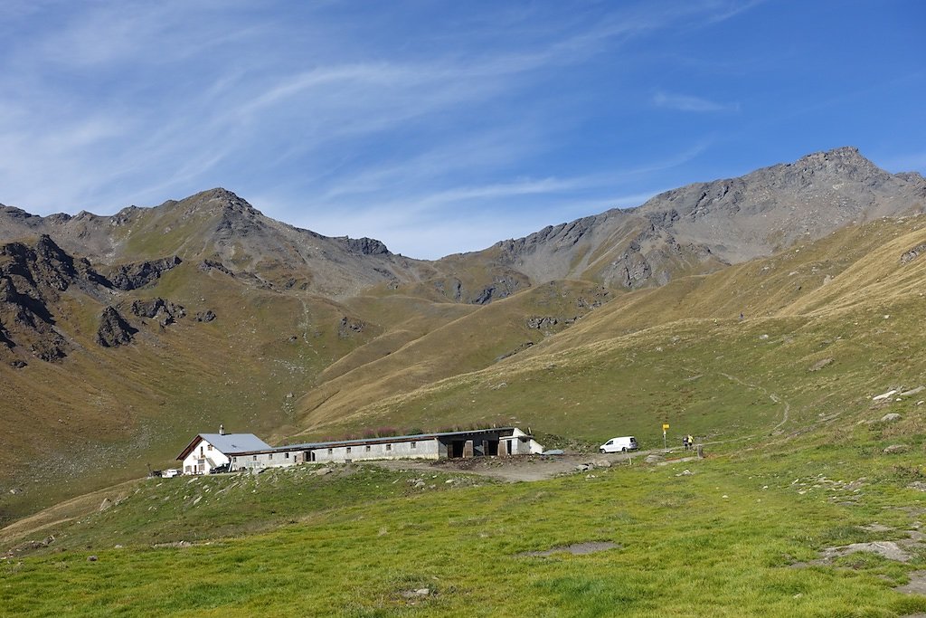 DSC02031.jpg