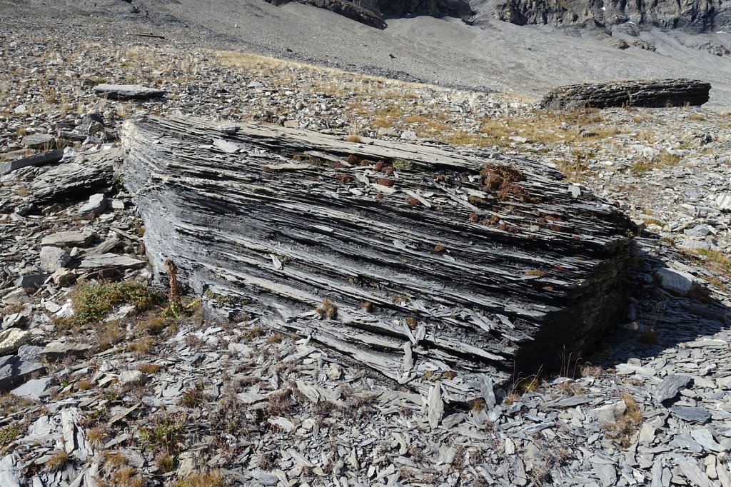 Bisse du Tsittoret, Petit Mont Bonvin (10.10.2015)